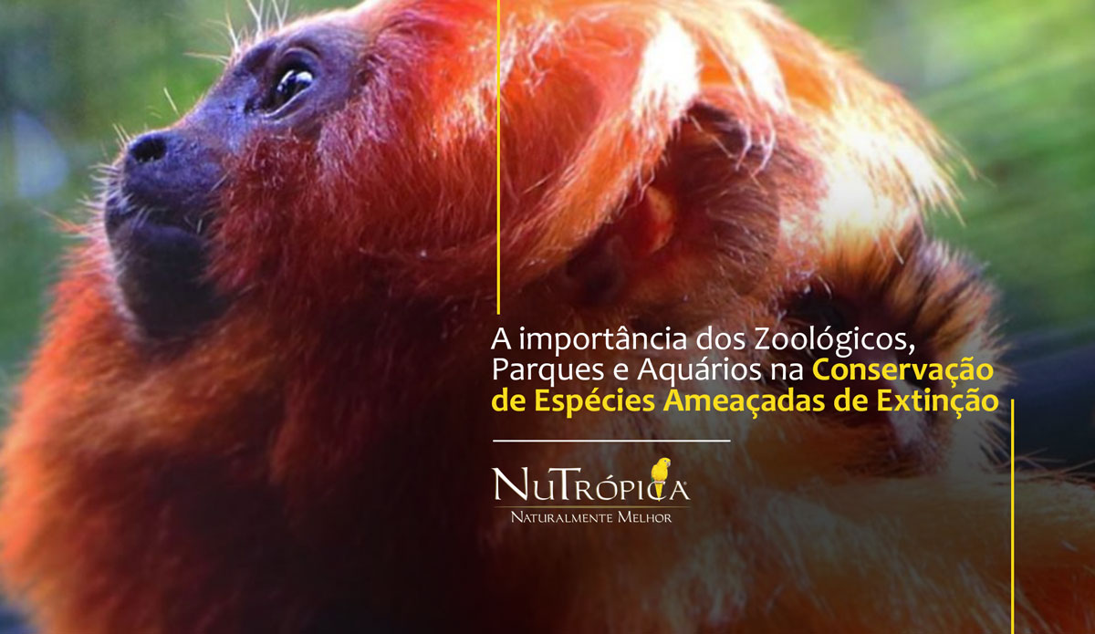 A importância dos Zoológicos, Parques e Aquários na Conservação de Espécies Ameaçadas de Extinção