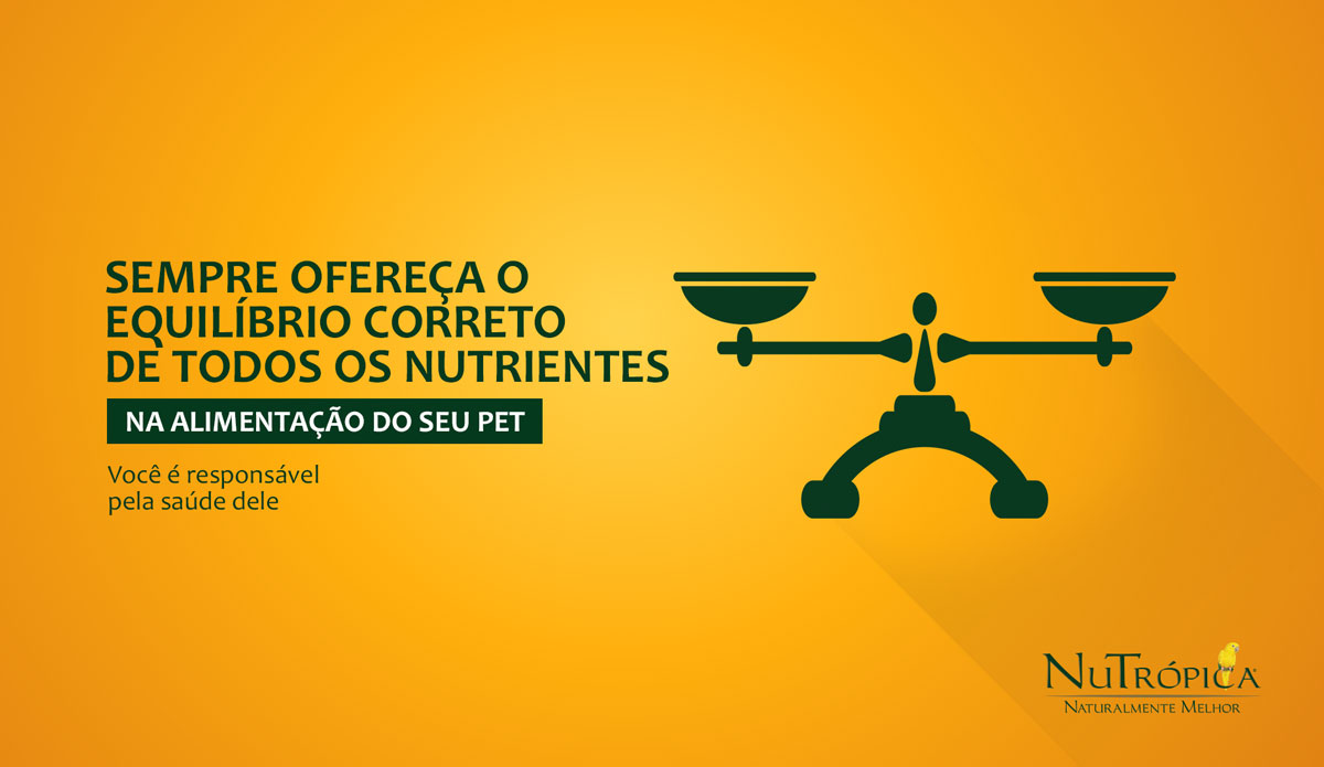 Sempre ofereça o equilíbrio correto de todos os nutrientes para o seu Pet

