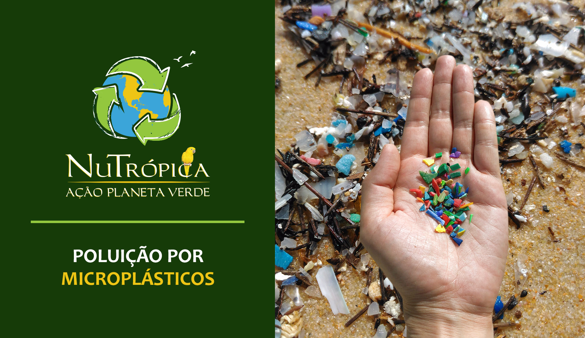 Ação Planeta Verde - Poluição causada através de Microplásticos