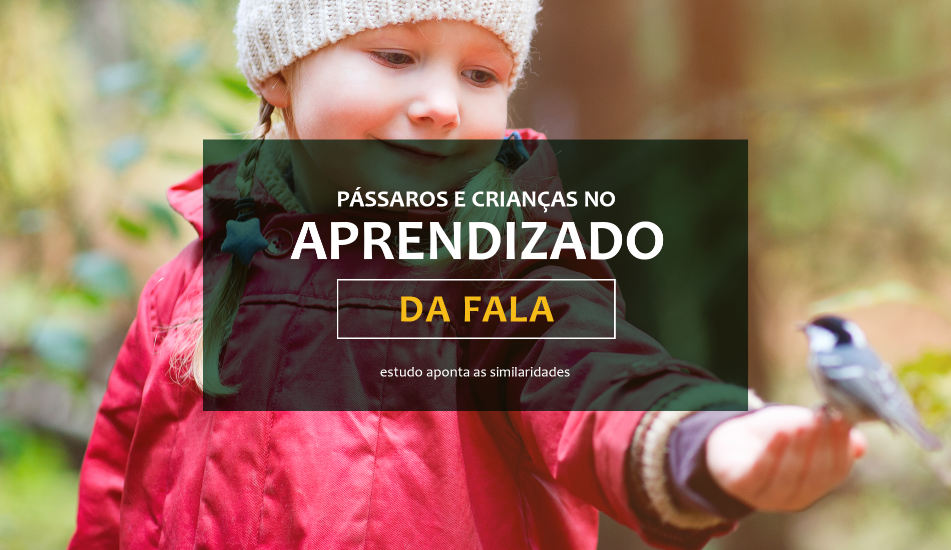 Similaridades entre pássaros e crianças no aprendizado da fala