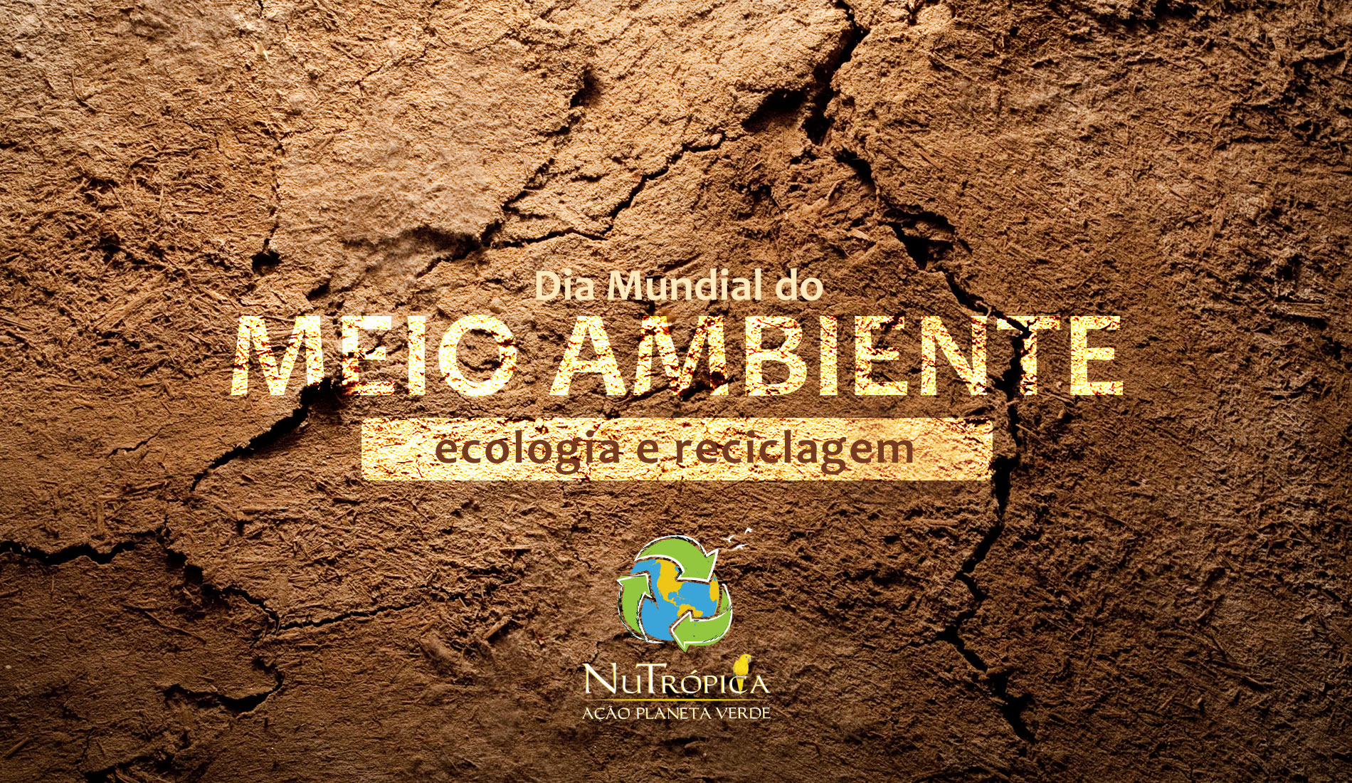 Dia Mundial do Meio Ambiente, Ecologia e Reciclagem