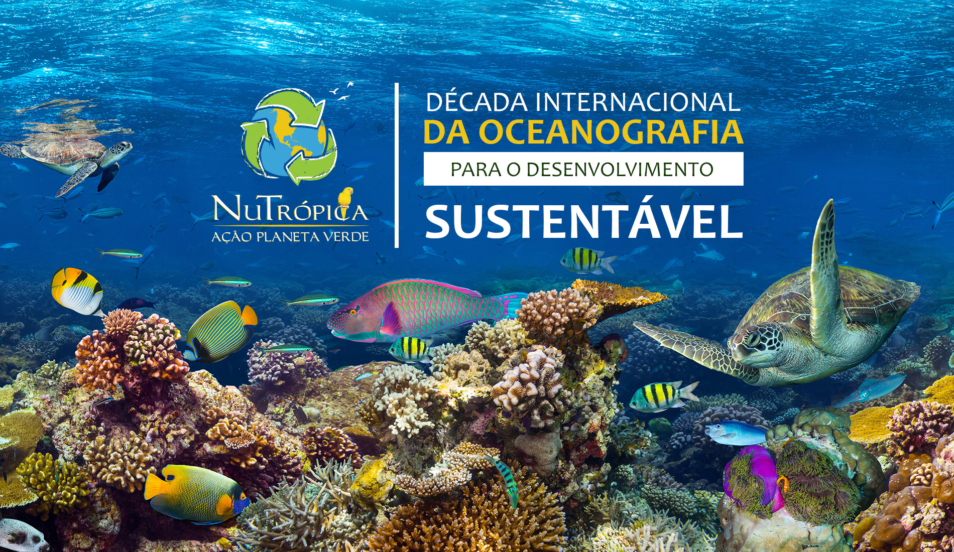 Década Internacional da Oceanografia para o Desenvolvimento Sustentável