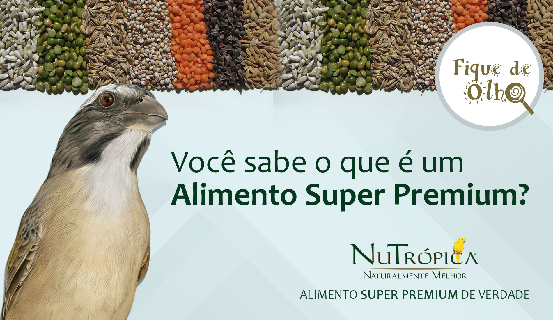 O que torna o Alimento Super Premium tão especial e superior aos demais?