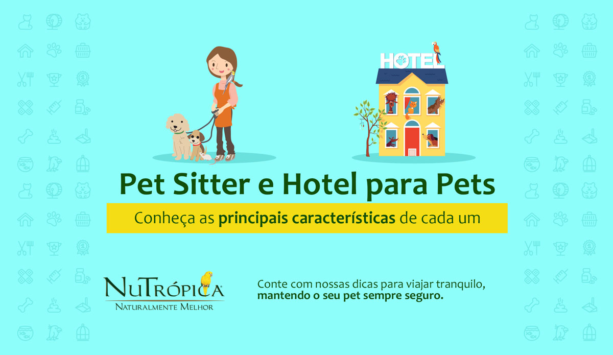 Confira as principais diferenças entre Pet Sitter e Hotel para Pets